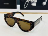 D*G Sunglass shangmei 24042409