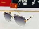 Cartie* Sunglass shangmei 24042401