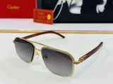 Cartie* Sunglass shangmei 24042410