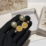 D*ior 1：1 Jewelry Earring yy24042950