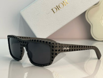 D*IOR Sunglass shangmei 24060114