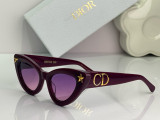 D*IOR Sunglass shangmei 24060113