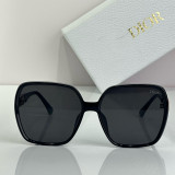 D*IOR Sunglass shangmei 24060112