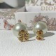 D*IOR  1：1  Earring yy24060511