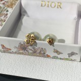 D*IOR  1：1  Earring yy24060511