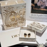 D*IOR 1:1 jewelry earring YY24062527