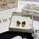 D*IOR 1:1 jewelry earring YY24062527