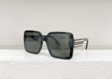 D*IOR Sunglass shangmei 24070811