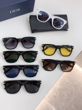 D*IOR Sunglass shangmei 24080304