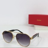 Cartie*r Sunglass shangmei 24080305