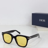 D*IOR Sunglass shangmei 24080304