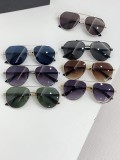 D*G Sunglass shangmei24112204