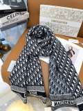 D*IOR scarf cashmere 200*45CM AN24122503