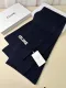 C*ELINE scarf cashmere 230*30CM AN24122501