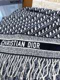 D*IOR scarf cashmere 200*45CM AN24122503