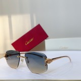C*ARTIER Sunglasses SHM25020901