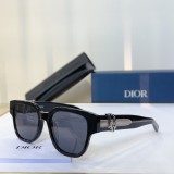 D*IOR Sunglasses SHM25020924