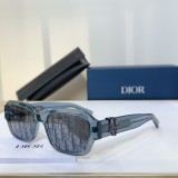 D*IOR Sunglasses SHM25020925