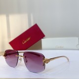 C*ARTIER Sunglasses SHM25020901