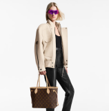 Louis vuitton M46979 Monogram Neverfull PM Small size