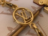 Louis vuitton Multi Pochette Accessoires bag MX25071701