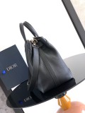 DIOR Normandie Original leather shoulder bag  BF25121303
