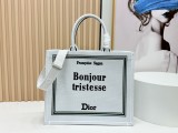 Dior Book Tote bag in embroidered canvas BF25121601