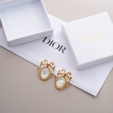 Dior Earring 161946 YY261028308