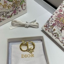 Dior Brooch 162493 YY261028385