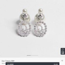Dior Earring 160628 YY26102867