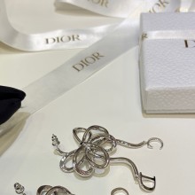 Dior Earring 162360 YY261028349