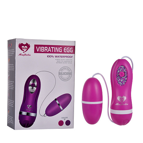 Vibrating Love Egg G-spot Massager Vibrator Dildo