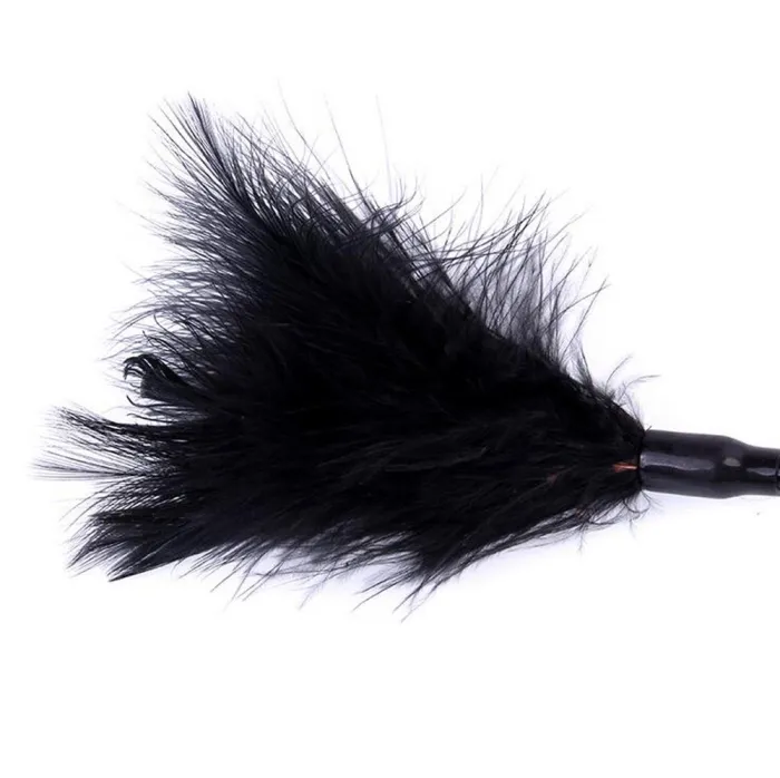 Alternative Couple Flirting Around A Small Feather Whip
