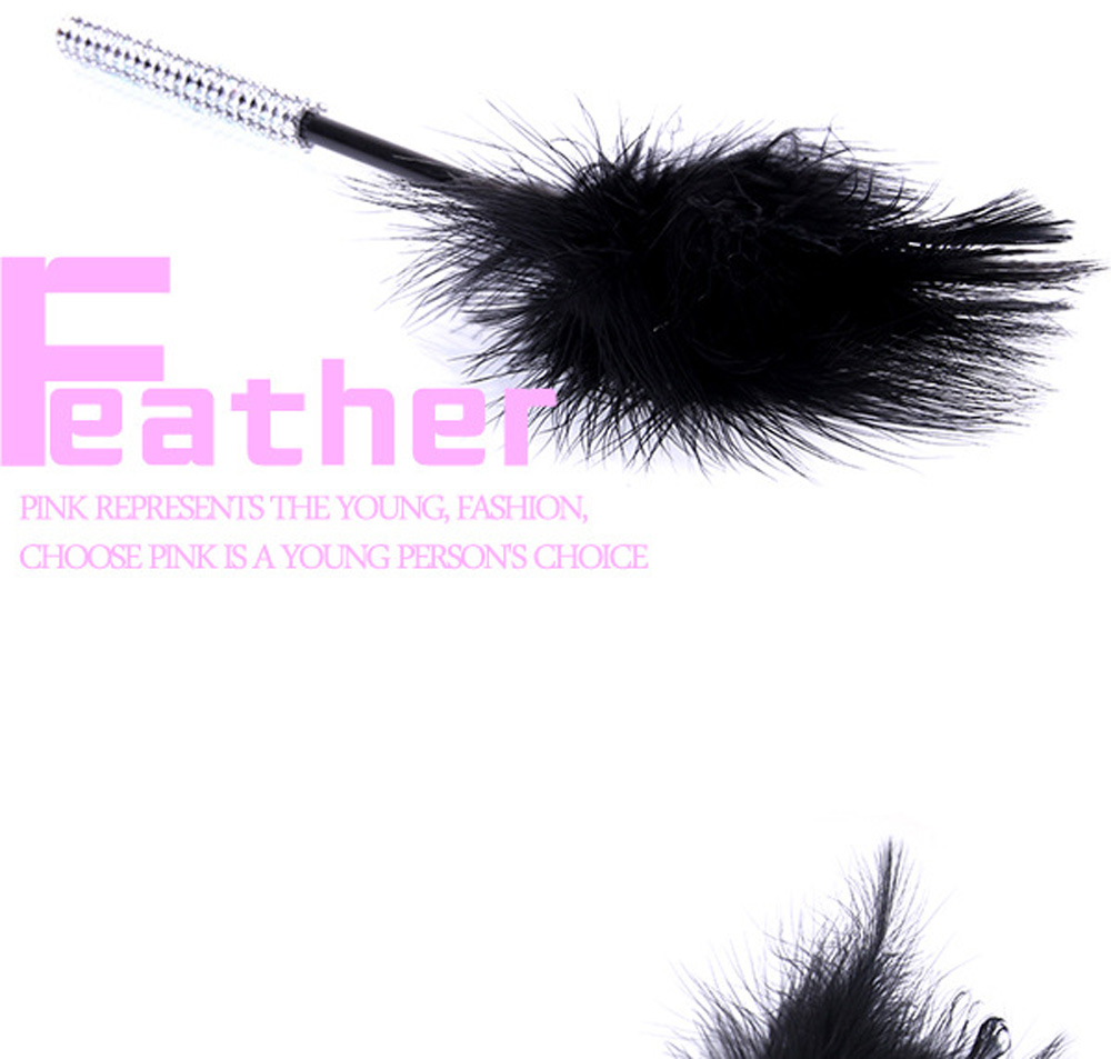 Small Feather Whip