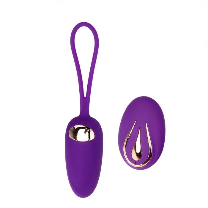 12 Speed Vibrating Egg Wireless Remote Control Vibrator