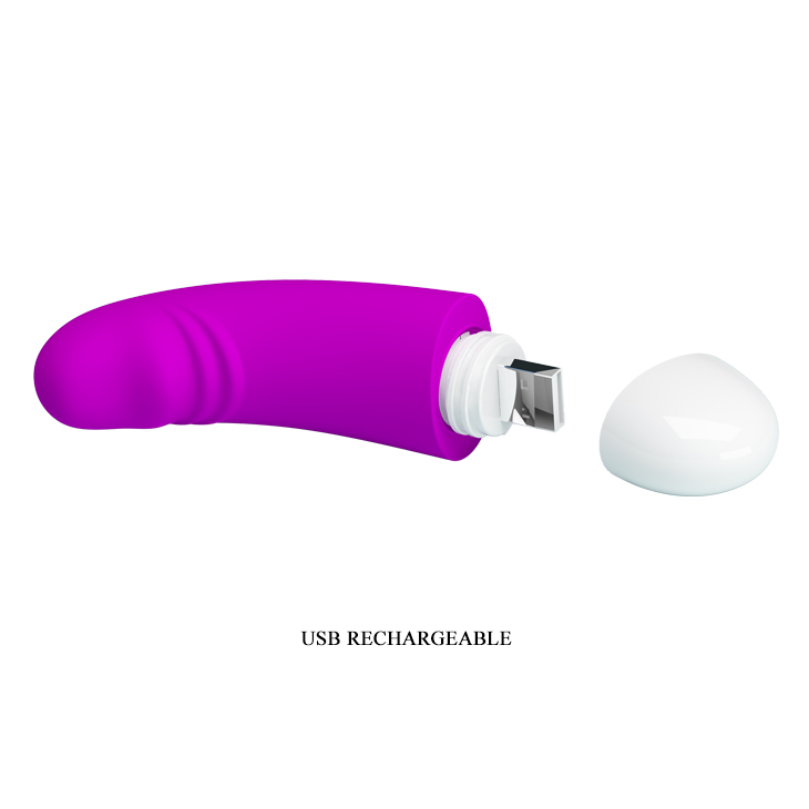  Purple USB Rechargeable Vibrator
