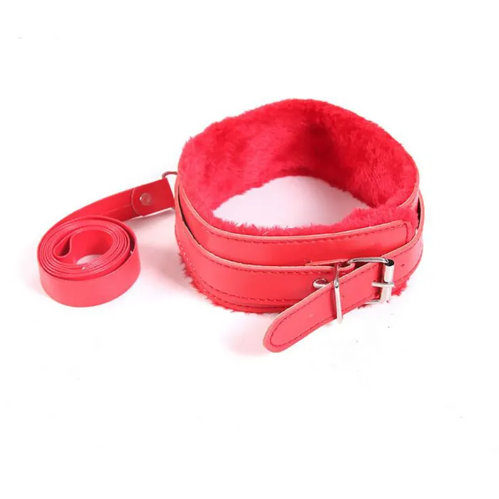 Leather Ring Collar with Leash