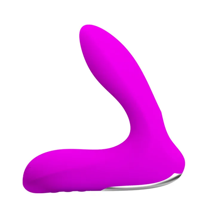 12-Function Vibrations Inflatable USB Rechargeable Anal Vibrator In Purple