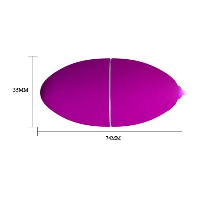 12-Function Remote Control Vibrator