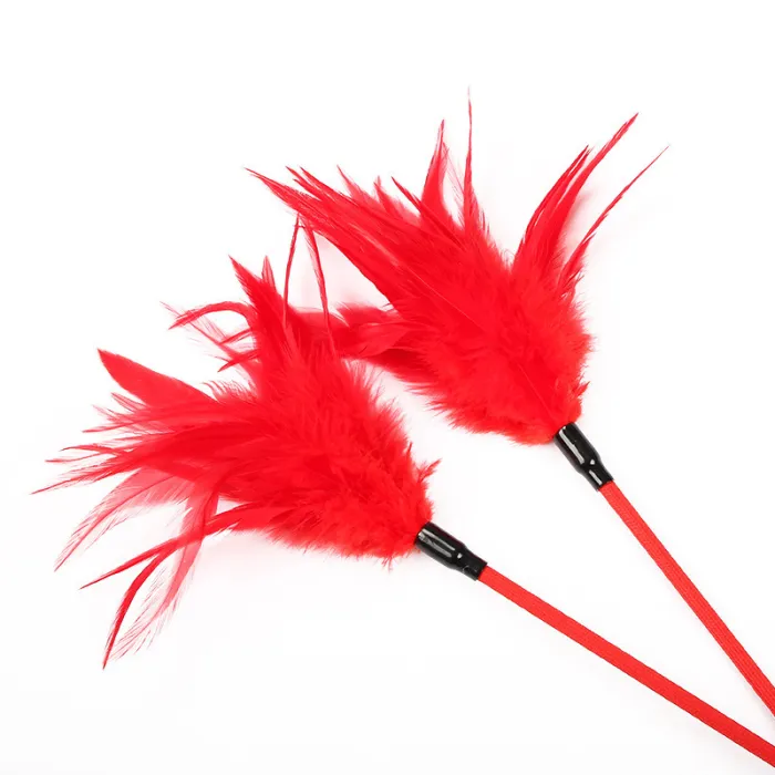 Feather Bar Fairy Spanking Paddle Spanker Flogger Whip