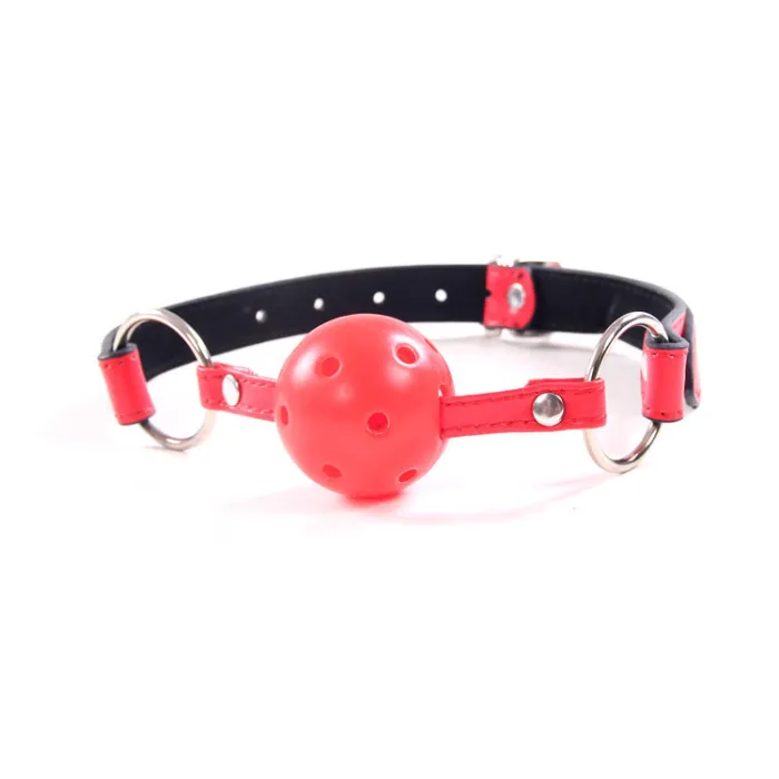 11pcs SM Bondage Restraints Set Kit Ball Gag Cuff Whip Eye Mask