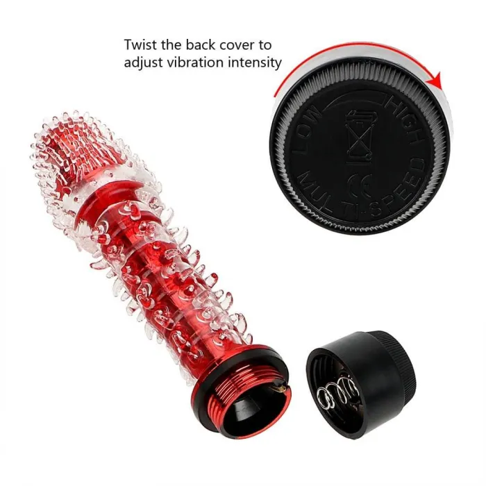 Multi-Speed Vibrating Dildo