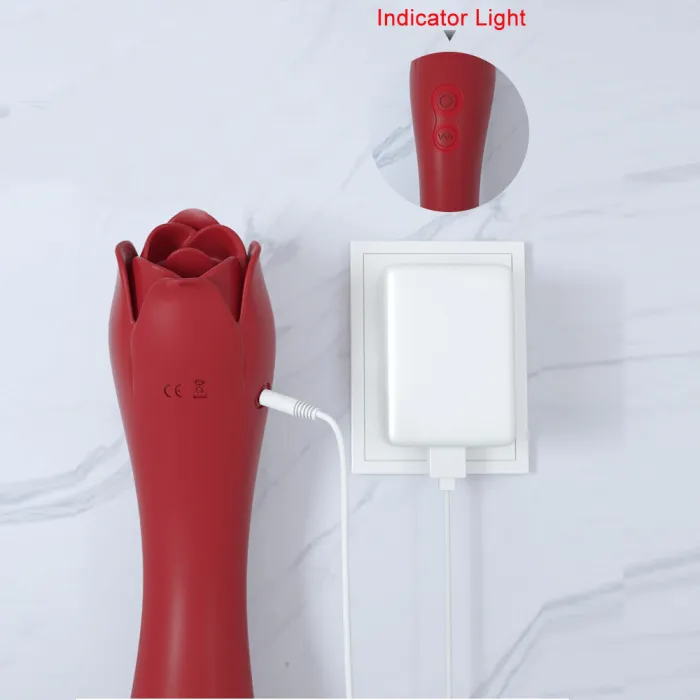 Beautiful Rose Vibrator