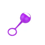 Primary-Purple