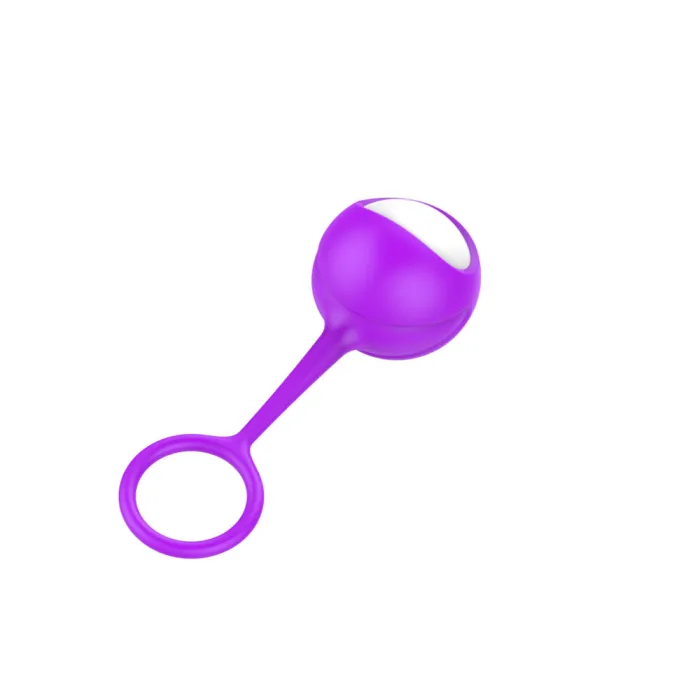 Vaginal Silicone Dumbbell Ball Sex Toy