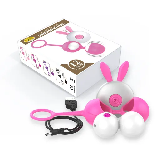 Vaginal Silicone Dumbbell Ball