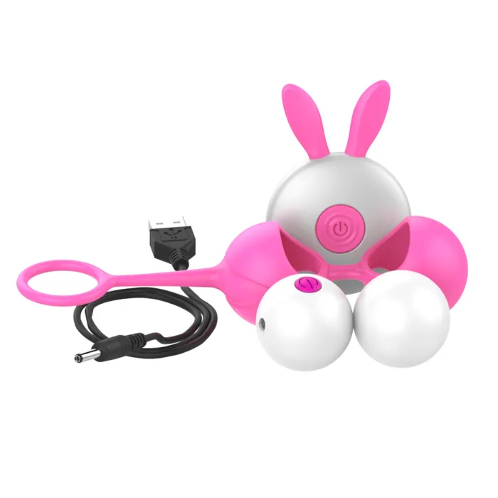 Vaginal Silicone Dumbbell Ball