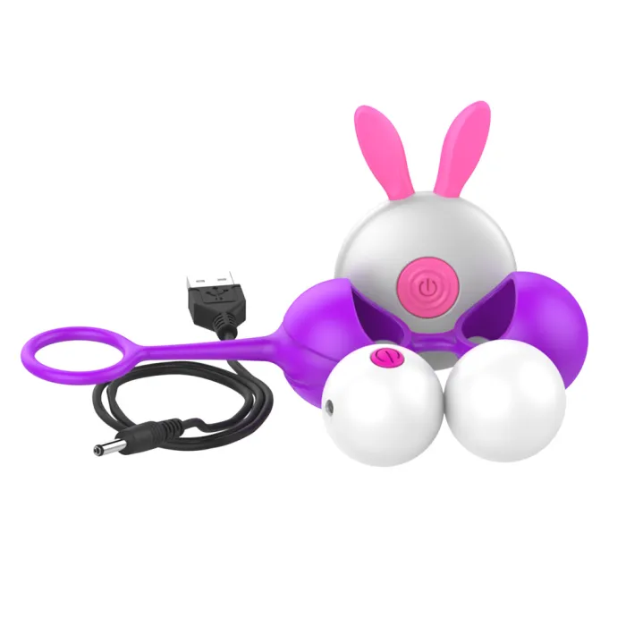 Vaginal Silicone Dumbbell Ball