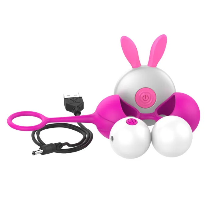Vaginal Silicone Dumbbell Ball