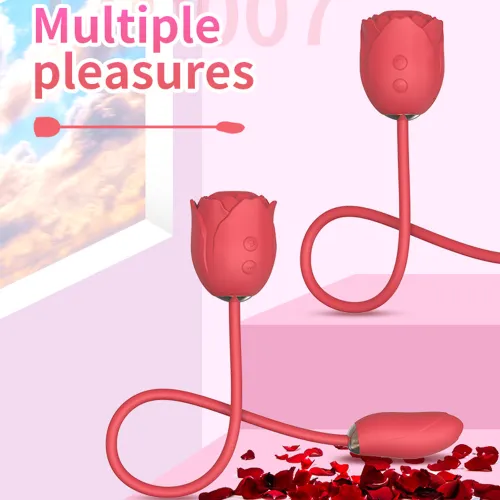10 Speed Rose Sucking Vibrator